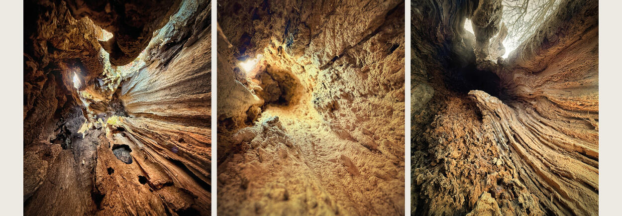 Atrium Sacrum__04.jpg